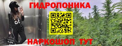 хмурый Кинель