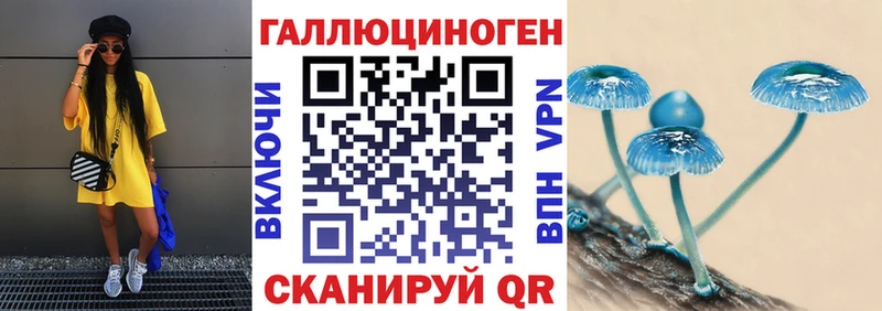Псилоцибиновые грибы GOLDEN TEACHER где продают наркотики OMG ссылки Туймазы