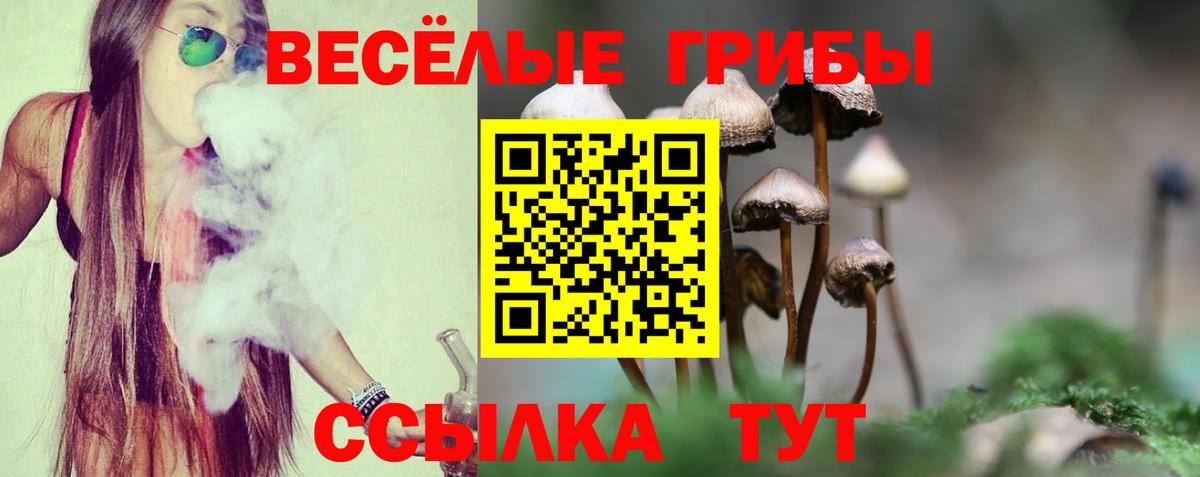 Псилоцибиновые грибы Cubensis  Вход с VPN  Туймазы 