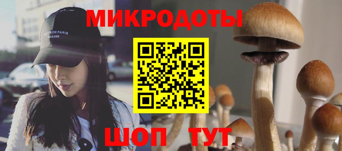 Псилоцибиновые грибы мицелий Туймазы